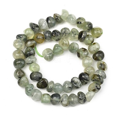 Natural Prehnite Beads Strands G-P617-B01-01-1