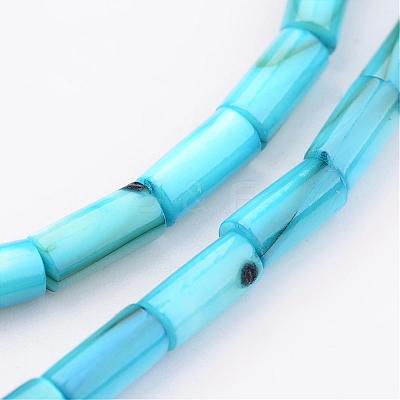 Natural Shell Bead Strands BSHE-P016-M-1