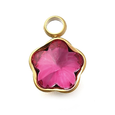 304 Stainless Steel Pendants STAS-Q346-02G-09-1