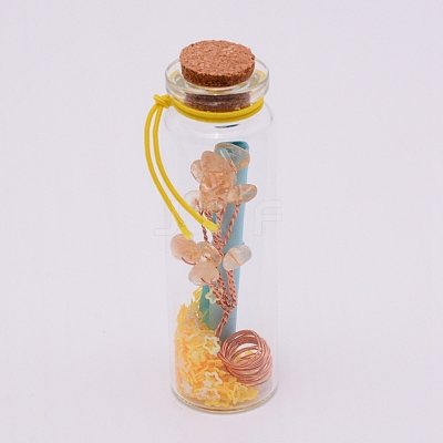 Mini Glass Wishing Bottles GLAA-WH0018-77E-1