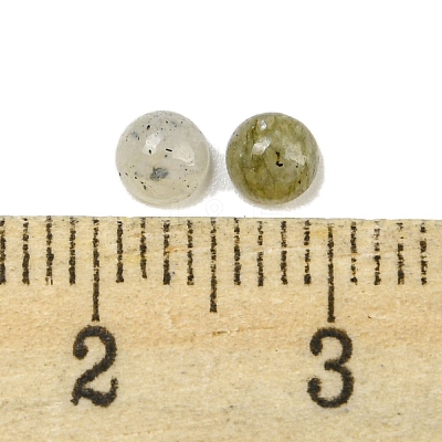 Natural Labradorite Cabochons G-H309-03-55-1