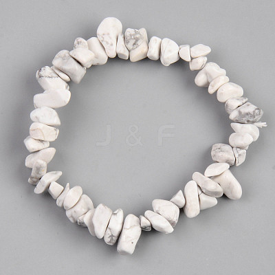 Unisex Chip Natural Howlite Beaded Stretch Bracelets BJEW-S143-27-1
