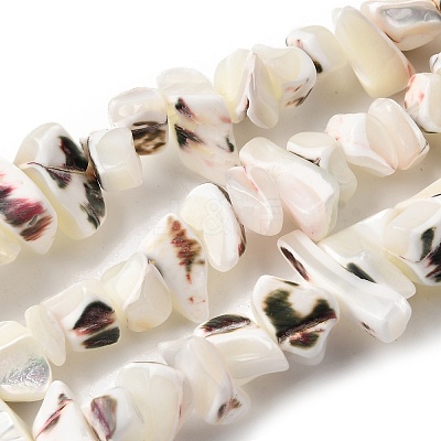 Natural Trochid Shell/Trochus Shell Beads Strands SHEL-B003-02J-1