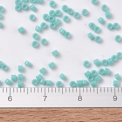 MIYUKI Delica Beads X-SEED-J020-DB1136-1