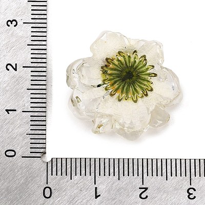 Transparent Resin Cabochons RE-CBA7537-01A-1