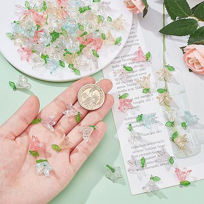 Transparent Acrylic Pendants FIND-SC0009-19-1