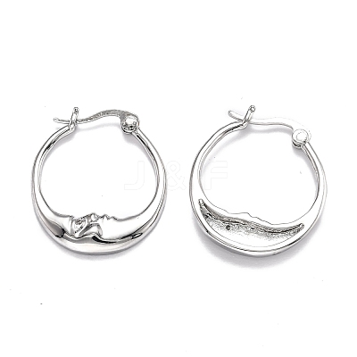 Brass Micro Pave Clear Cubic Zirconia Hoop Earrings EJEW-J101-28P-1