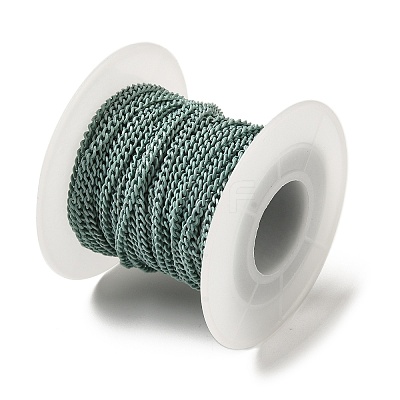 Spray Painted 304 Stainless Steel Curb Chains STAS-B067-05A-01-1