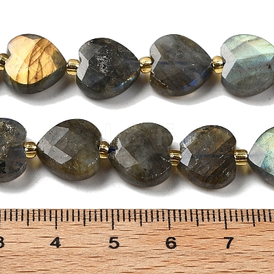 Natural Labradorite Beads Strands G-B044-B21-01-1