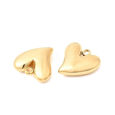304 Stainless Steel Charms STAS-P441-02G-1