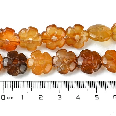 Natural Red Agate Beads Strands G-H023-B21-01-1