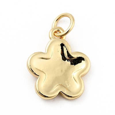Rack Plating Brass Enamel Charms KK-G387-09G-03-1