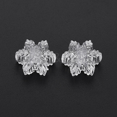 Transparent Acrylic European Beads TACR-T003-21-1