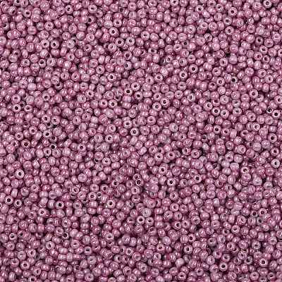 TOHO 11/0 Round Beads X-SEED-TR11-1202-1