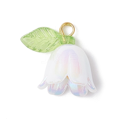 5Pcs Transparent Acrylic Pendants PALLOY-JF04703-01-1