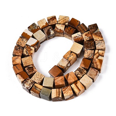 Natural Picture Jasper Beads Strands G-T139-8x8-27A-1