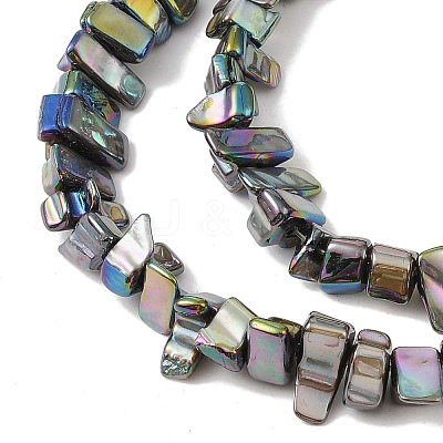 Natural Freshwater Shell Beads Strands BSHE-H018-07E-1