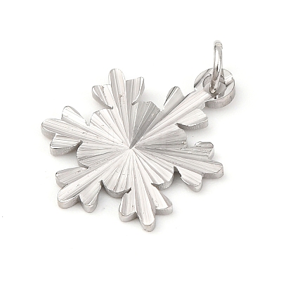 304 Stainless Steel Pendants STAS-A125-12P-1