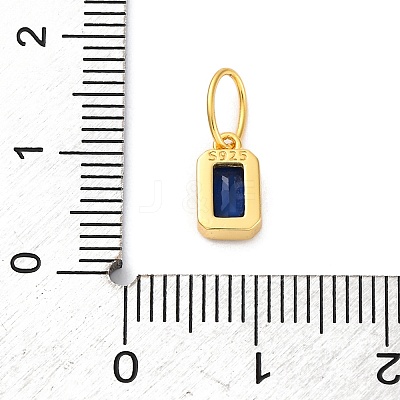 925 Sterling Silver Cubic Zirconia Charms STER-NH0014-01G-10-1