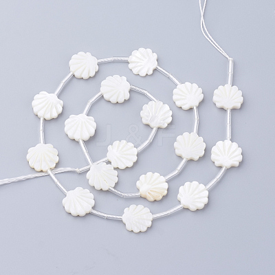 Natural White Shell Beads X-SSHEL-Q298-06-1