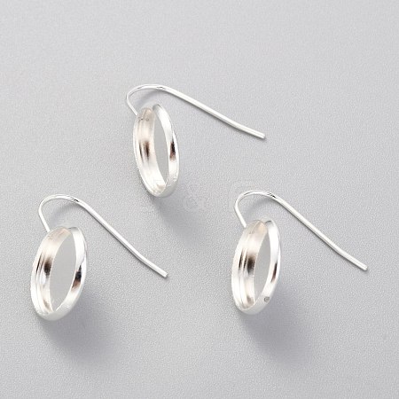 304 Stainless Steel Earring Hooks STAS-F227-22C-S-1