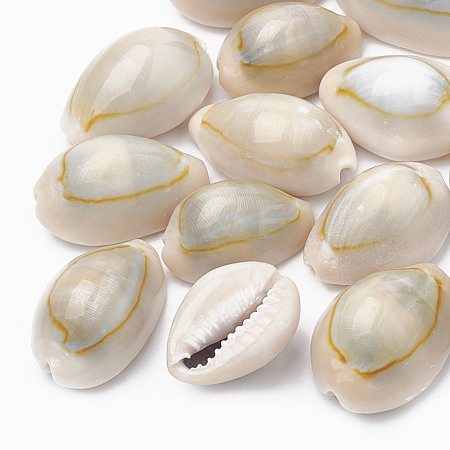 Natural Cowrie Shell Beads X-SSHEL-T004-04-1