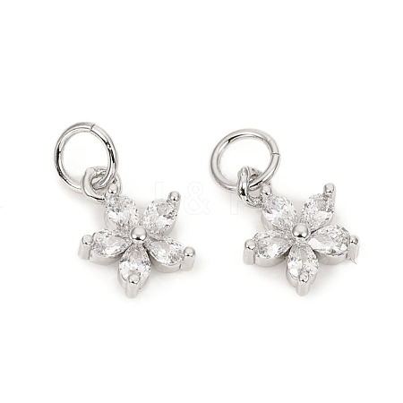 Brass Micro Pave Cubic Zirconia Charms ZIRC-L096-10P-1