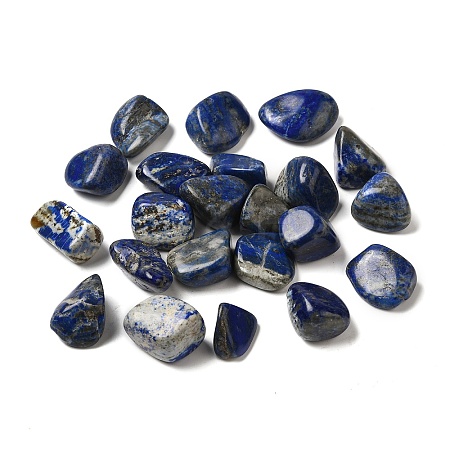 Natural Lapis Lazuli Beads G-O029-08V-1