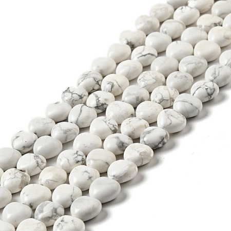 Natural Howlite Beads Strands G-B022-09B-1