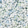 Baking Paint Glass Seed Beads SEED-F005-01A-13-3