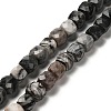 Natural Black Netstone Beads Strands G-H078-C32-01-1