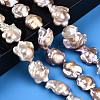 Baroque Natural Nucleated Keshi Pearl Beads Strands PEAR-S020-A02-2