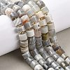Natural Botswana Agate Beads Strands G-K245-C17-1
