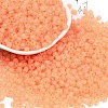 6/0 Luminous Glass Seed Beads X1-SEED-NH0001-01D-2
