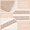 Polyester Braided Lace Trim OCOR-WH0078-09B-4