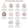 100Pcs 10 Styles Tibetan Style Alloy Pendants TIBEP-CJ0001-50-3