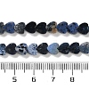 Natural Sodalite Beads Strands G-M403-A08-02-5