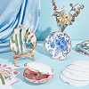 Natural Shell Display Decorations DIY-NB0014-92-4