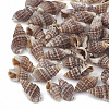 Sea Shell Beads SSHEL-S258-03-1