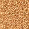 TOHO Round Seed Beads SEED-TR11-0984-2