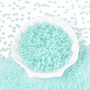Transparent Frosted Colours Glass Seed Beads SEED-T007-12G-1
