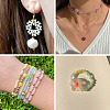 19 Stands 19 Colors Transparent Glass Beads Strands EGLA-TA0013-41-8