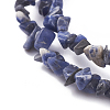 Natural Sodalite Beads Strands G-G782-31-3