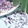 Natural Amethyst Chip Beads G-L453-06-3