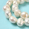 Natural Cultured Freshwater Pearl Beads Strands PEAR-E017-21-4