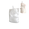 Easter Theme Rabbit DIY Silicone Candle Molds SIL-F019-01A-1