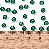 FGB Transparent Glass Seed Beads SEED-N013-01A-06-4