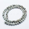 Natural Sesame Jasper/Kiwi Jasper Beads Strands G-I199-29-8mm-2