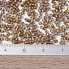 MIYUKI Delica Beads SEED-X0054-DB1691-4