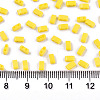 2-Hole Glass Seed Beads SEED-S031-M-SH42-2